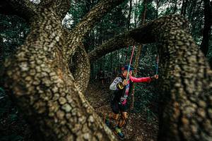 BIB: 
                            <button type="button" onclick="openModal(25393188)" class="btn btn-primary btn-sm float-right btn-popup" data-toggle="modal" data-target=".modal-high-quality">
                        <i class="fas fa-shopping-cart"></i> Add to Cart
                    </button>
                                            <button type="button" onclick="isThisMe(25393188, true)" class="btn btn-success btn-sm float-right btn-popup btn-isme hidden" data-toggle="tooltip" data-placement="bottom" title="นี่คือรูปของคุณใช่ไหม คลิกที่นี่เพื่อเอาเข้าอัลบั้ม">
                        <i class="fas fa-plus"></i> Add to album
                    </button>
                    <button type="button" onclick="isThisMe(25393188, false)" class="btn btn-warning btn-sm float-right btn-popup btn-isnotme hidden">
                        <i class="fas fa-ban"></i> Remove from album
                    </button>